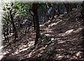 P8181914.JPG