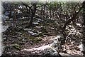 P8181918.JPG