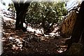 P8181923.JPG