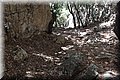 P8181924.JPG