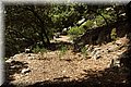 P8181927.JPG