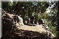 P8181928.JPG