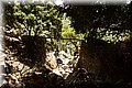 P8181930.JPG