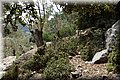 P8181933.JPG