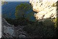 P8211943.JPG