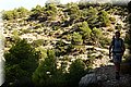 P8211948.JPG