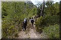 P8211978.JPG