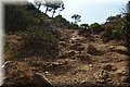P8211984.JPG