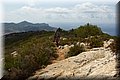 P8211996.JPG
