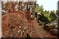P8212015.JPG