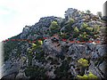 P8213981 m.jpg