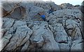 P8252078.JPG