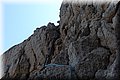 P8252093.JPG