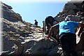 P8252119.JPG