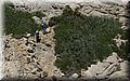 P8252132.JPG