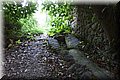 P8282144.JPG