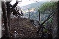 P8282151.JPG