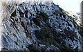 P8282171.JPG