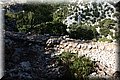 P9012310.JPG