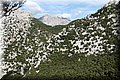P9012312.JPG