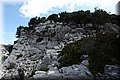 P9012314.JPG