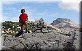 P9012326.JPG