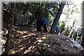 P9040008.JPG