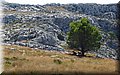 P9040037.JPG