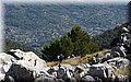 P9040038.JPG