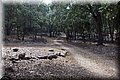 P9040083.JPG