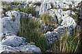 P9080100.JPG