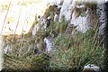 P9080141.JPG