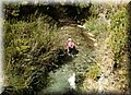P9140131.JPG