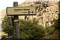 P9170229.JPG