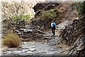 P9170230.JPG
