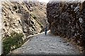 P9170237.JPG