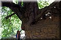 P9170255.JPG