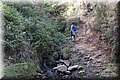 P9170270.JPG