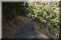 P9170273.JPG