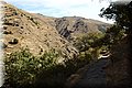 P9170274.JPG