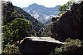 P9170283.JPG