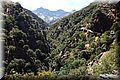 P9170284.JPG