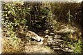 P9170293.JPG