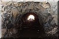 P9170306.JPG