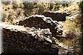 P9170308.JPG