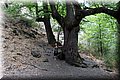 P9170327.JPG