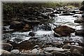 P9170333.JPG
