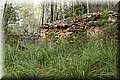 P9250559.JPG