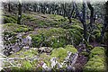 P9290590.JPG