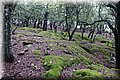 P9290591.JPG